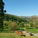 La Del Abuelo De