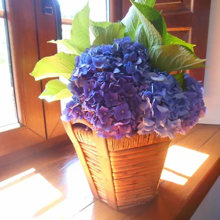 Gospodarstwo wiejskie La Del Abuelo De Selaya