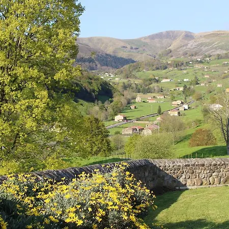 La Del Abuelo De Selaya