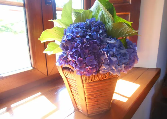 Séjour à la campagne La Del Abuelo De Selaya