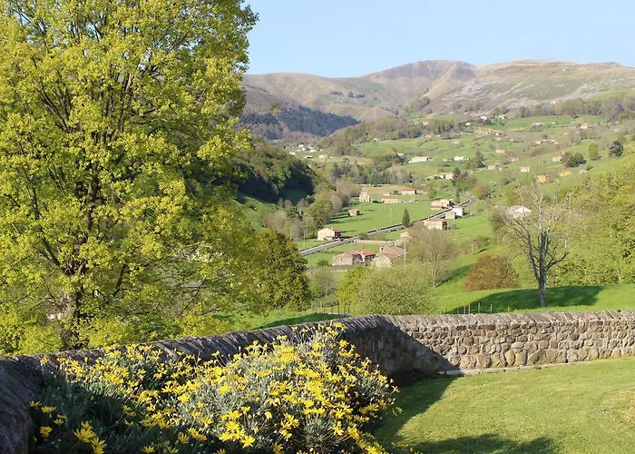 La Del Abuelo De Selaya