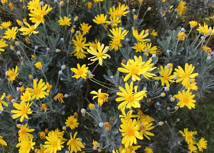 Casa rural La Del Abuelo De